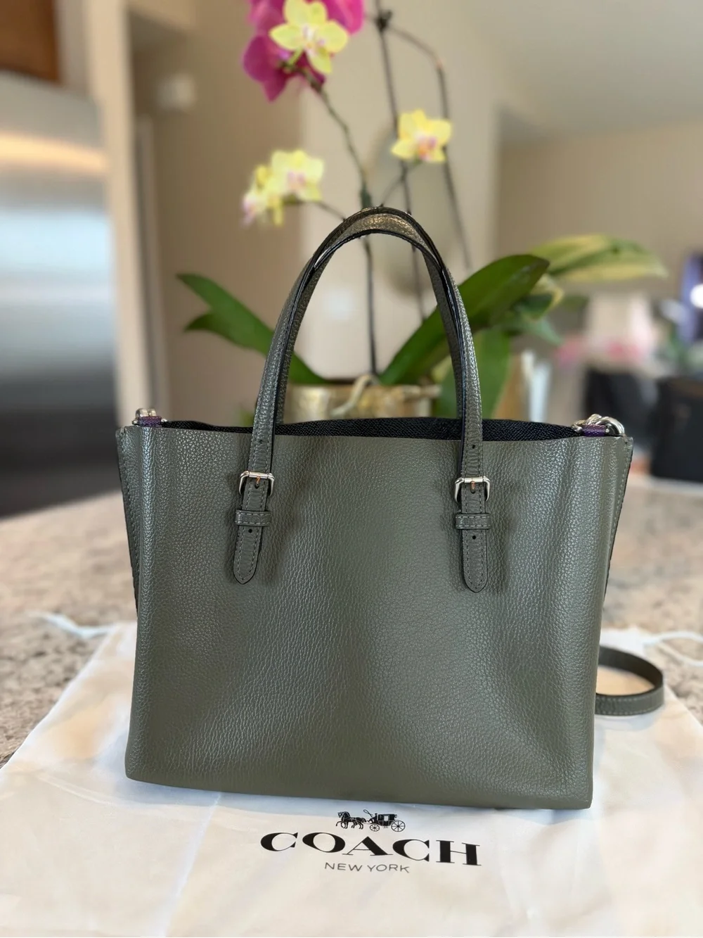 Coach Mollie Tote 25 Military Green Leather Crossbody Bag Style C4084